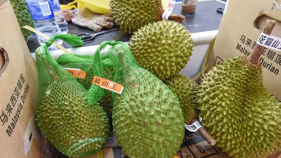 海南封关首日榴莲遭疯抢：1.5吨1小时售空，背后是自贸港红利还是消费狂欢？