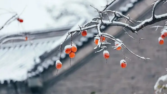 冬至“冰封线”大揭秘！看看你家在不在“速冻区”？